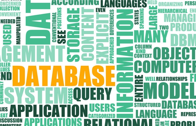 database1